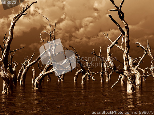 Image of dead trees