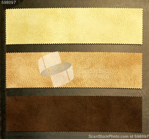 Image of Beige leathers
