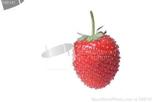 Image of Strawberry isolated 