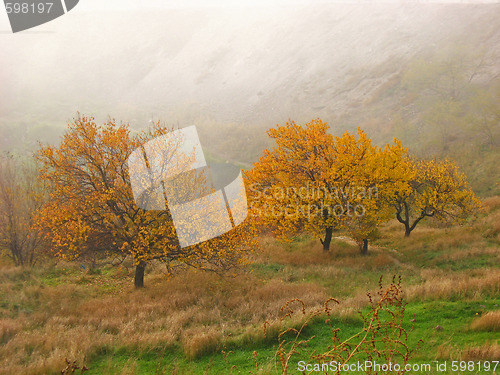 Image of autumn landscape