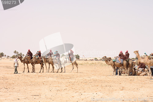 Image of camels