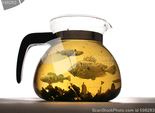 Image of herbal tea