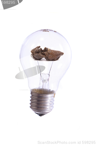 Image of bulb