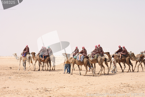 Image of camels