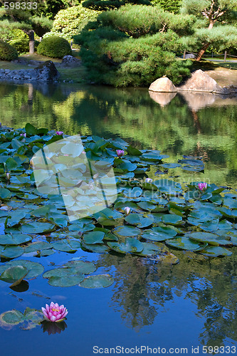 Image of Japanese garden