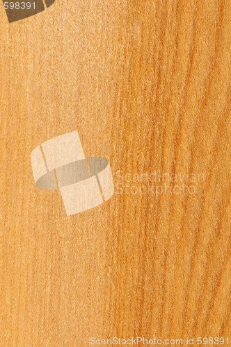 Image of Pre-finished hardwood floor sample