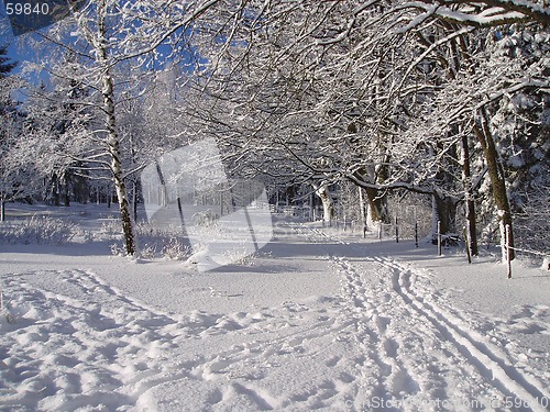 Image of Winter