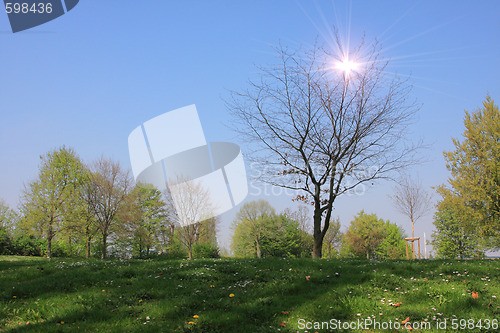 Image of Summer landscape