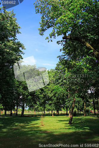 Image of green park