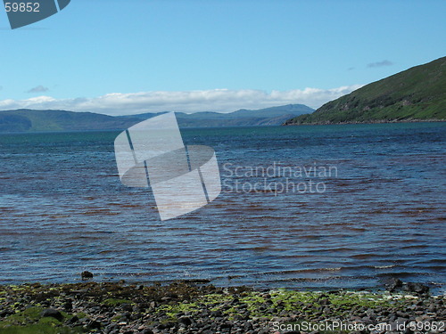 Image of the bay