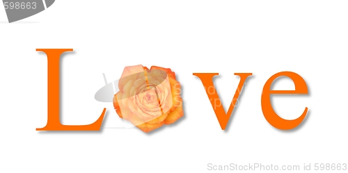 Image of Love Flower Orange