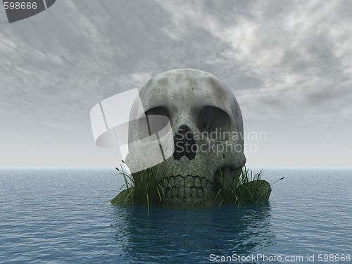 Image of skull