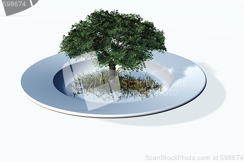 Image of dinner plate