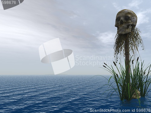 Image of skull