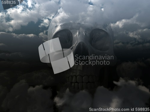 Image of skull