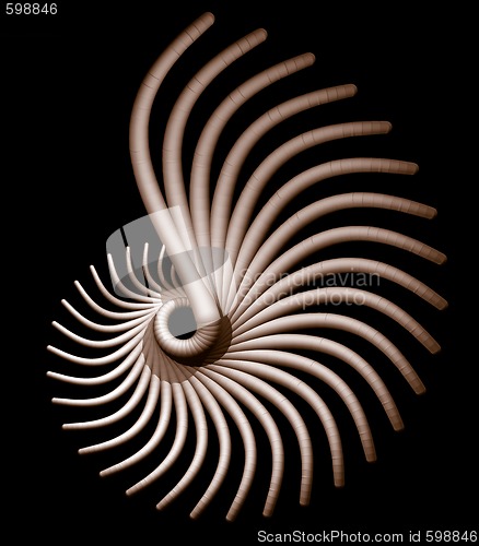 Image of spiral