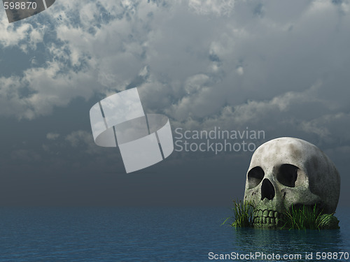 Image of skull
