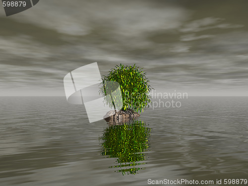 Image of tree