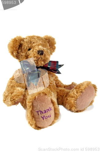 Image of Thank You Teddy 1