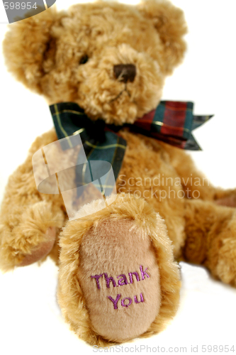 Image of Thank You Teddy 2
