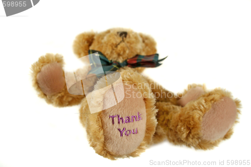 Image of Thank You Teddy 3