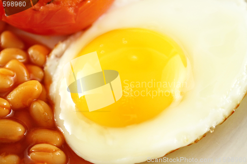 Image of Fried Egg