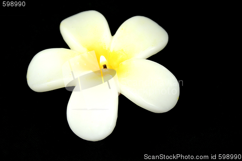 Image of Frangipani Candle