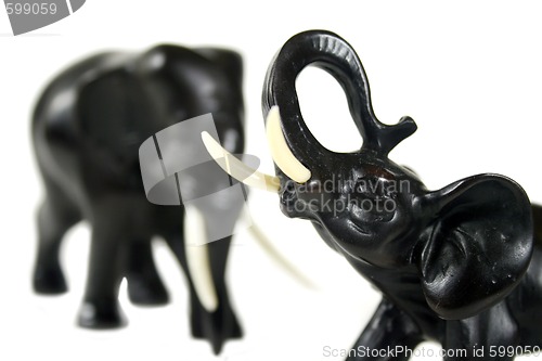 Image of Black Elephants 2