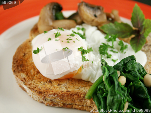 Image of Poached Egg Breakfast 2