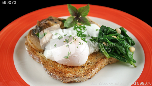 Image of Poached Egg Breakfast