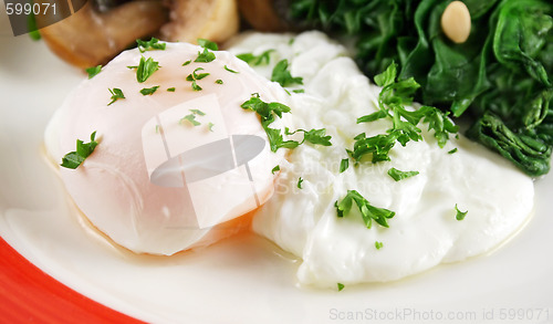 Image of Poached Egg Breakfast