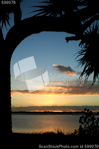 Image of Bent Tree Sunrise