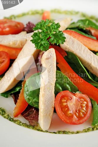 Image of Chicken Salad Pesto 2