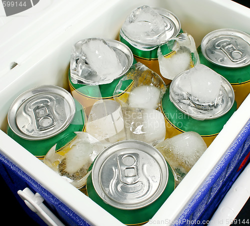 Image of Drinks Cooler