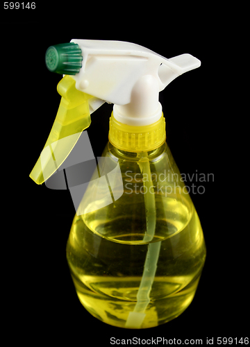 Image of Spray Bottle 1 
