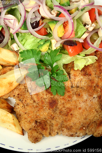 Image of Hearty Chicken Schnitzel 2