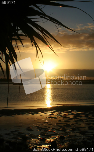 Image of Beach Sunrise