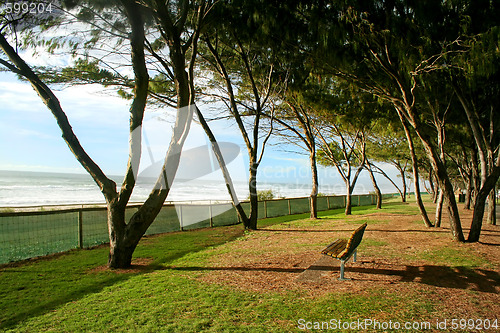 Image of Beach Foreshore