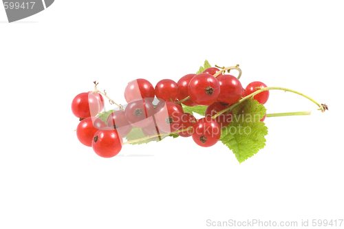 Image of  fruit