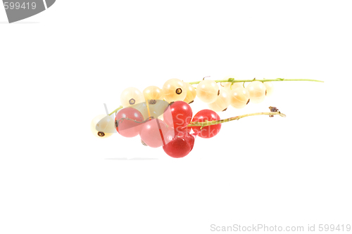 Image of  fruit