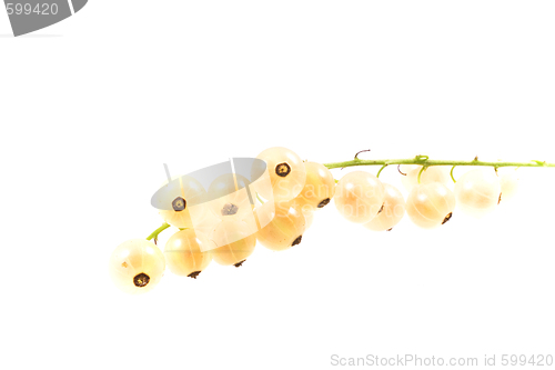 Image of  fruit