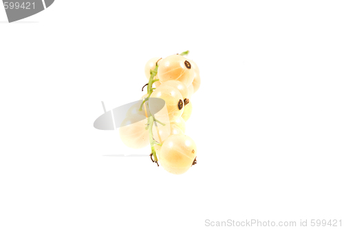 Image of  fruit