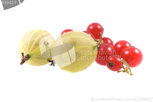 Image of  fruit