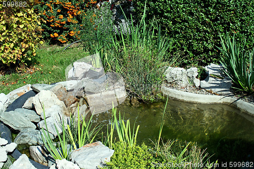 Image of Garden pond