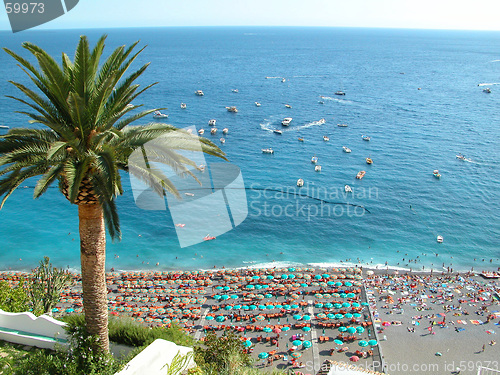 Image of Positano Palm, Italy