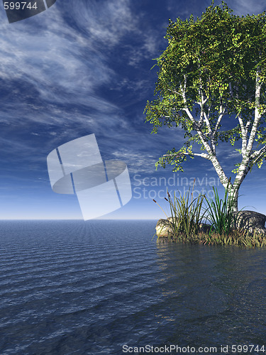 Image of tree