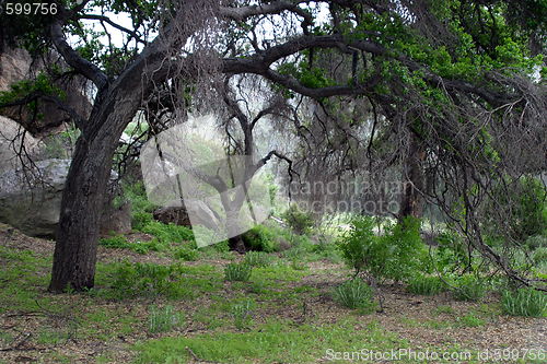 Image of Santa Susana Mountains (6368)