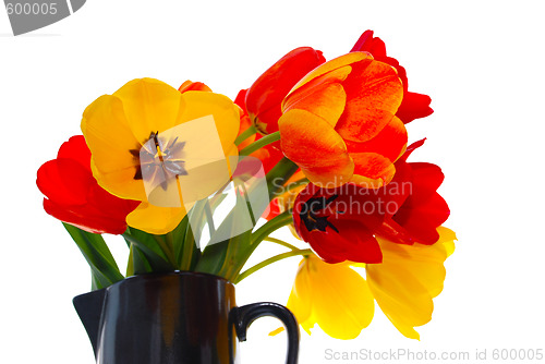 Image of fresh tulips