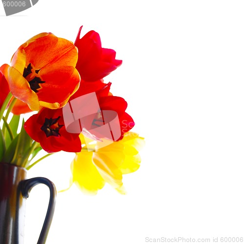Image of fresh tulips