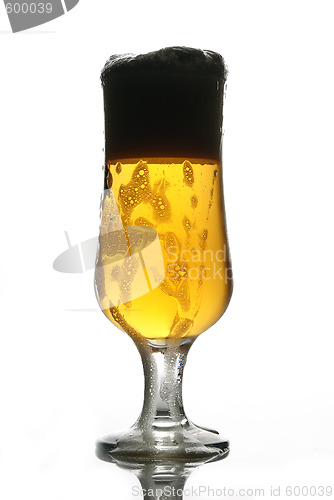 Image of Glass of beer close-up